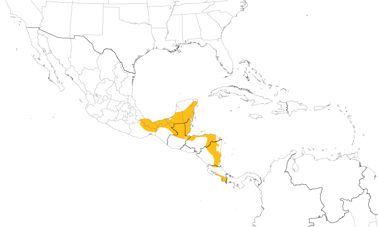 Range Map (Central): Tawny-winged Woodcreeper