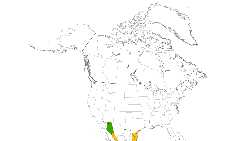 Range Map (North): Black-bellied Whistling-Duck