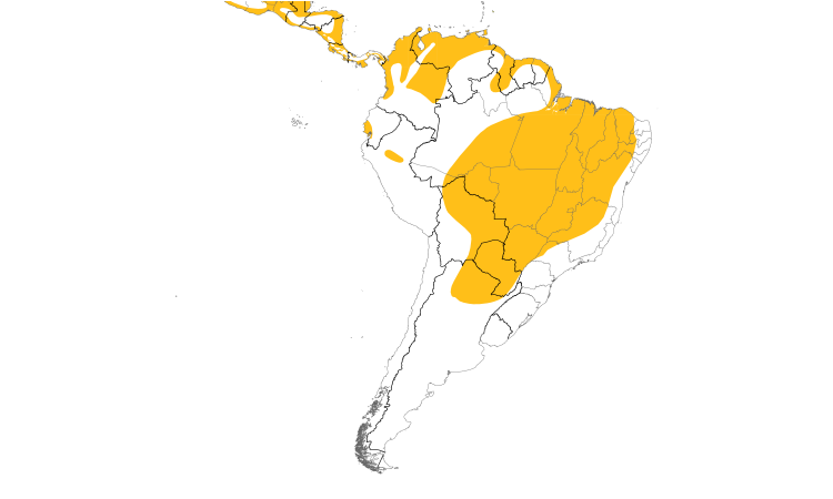 Range Map (South): Black-bellied Whistling-Duck