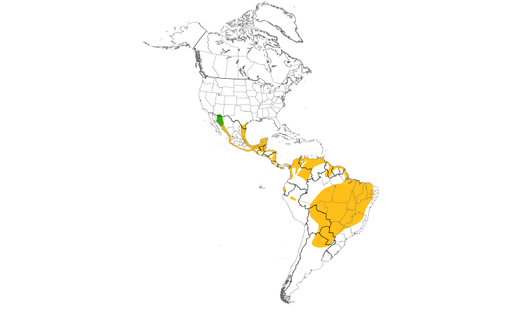 Range Map (Americas): Black-bellied Whistling-Duck
