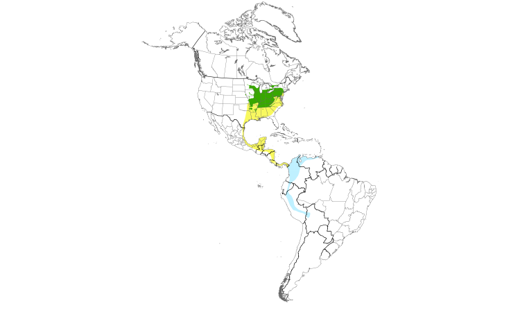 Range Map (Americas): Cerulean Warbler