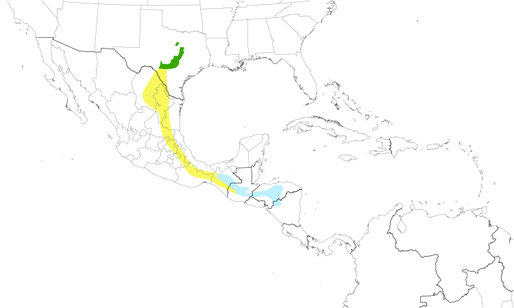 Range Map (Central): Golden-cheeked Warbler