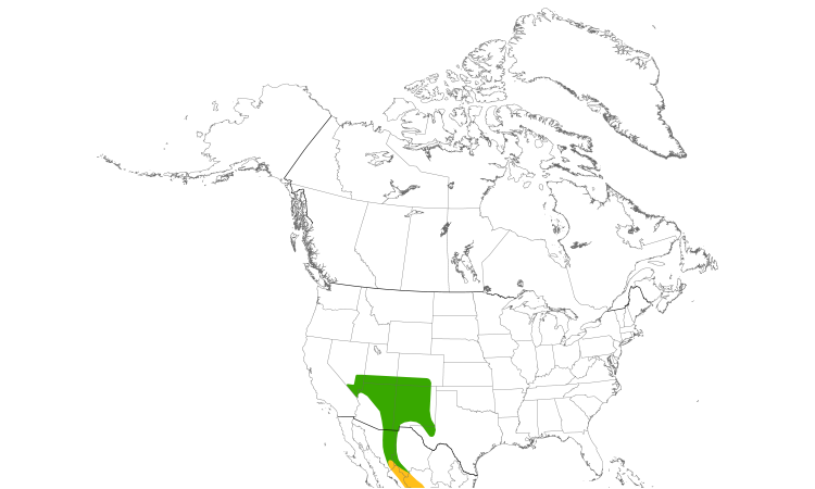 Range Map (North): Grace's Warbler