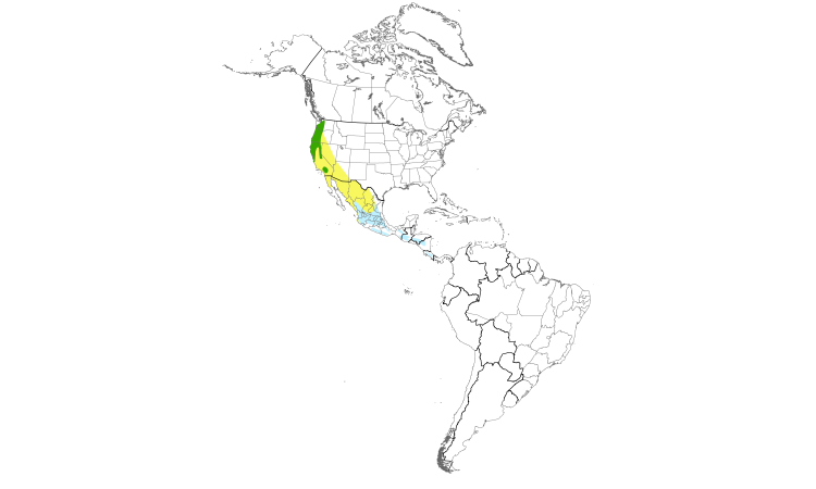 Range Map (Americas): Hermit Warbler