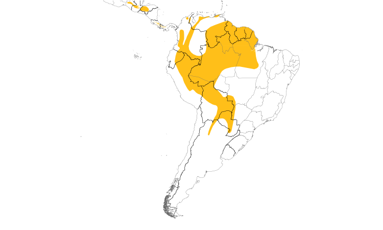 Range Map (South): Black-banded Woodcreeper
