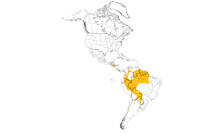 Range Map (Americas): Black-banded Woodcreeper
