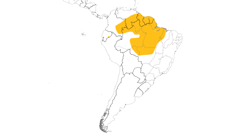 Range Map (South): Red-fan Parrot