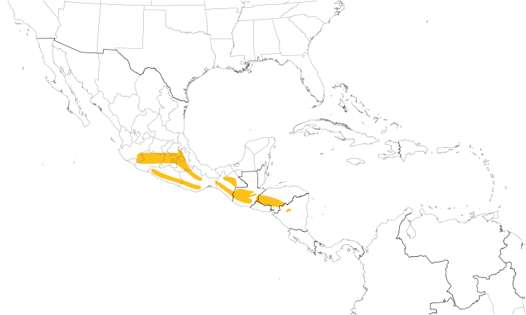Range Map (Central): Cinnamon-bellied Flowerpiercer