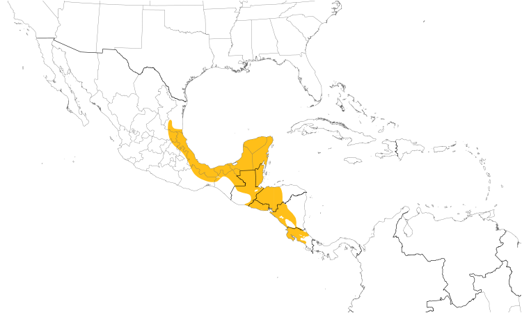 Range Map (Central): Melodious Blackbird