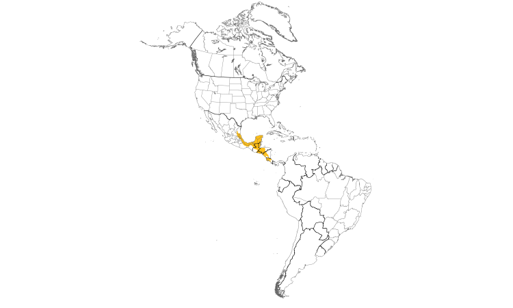 Range Map (Americas): Melodious Blackbird