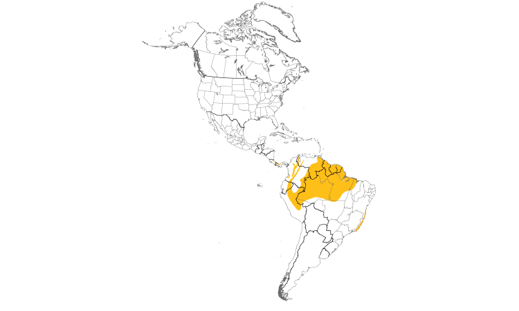 Range Map (Americas): White-crowned Manakin