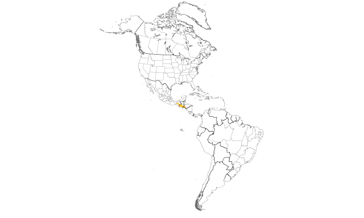 Range Map (Americas): Slender Sheartail