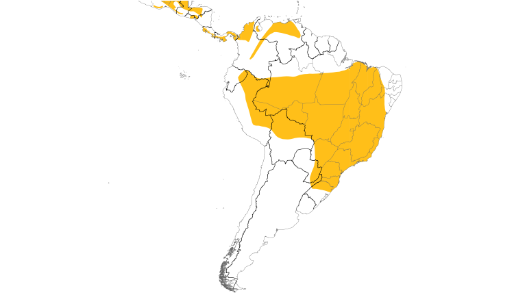 Range Map (South): Pheasant Cuckoo