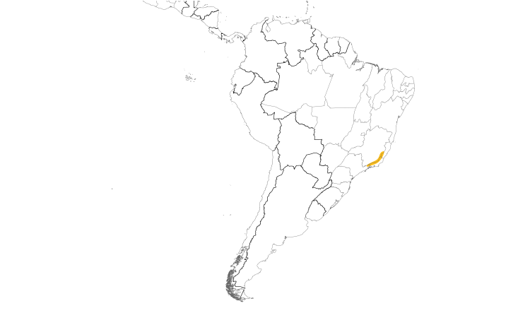 Range Map (South): Rufous-tailed Antbird