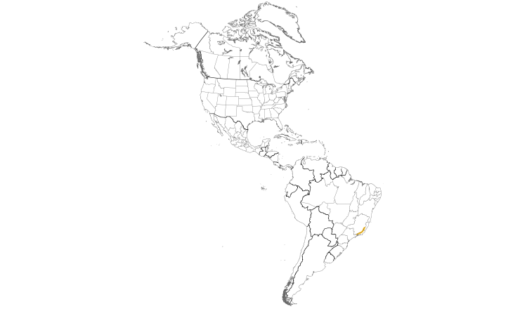 Range Map (Americas): Rufous-tailed Antbird