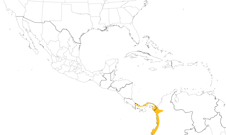 Range Map (Central): Spot-crowned Antvireo