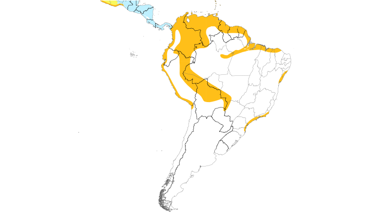 Range Map (South): Little Blue Heron