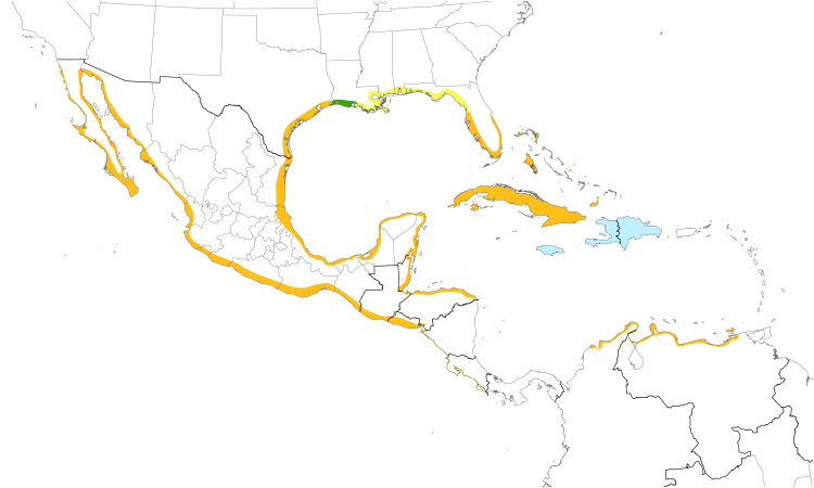 Range Map (Central): Reddish Egret