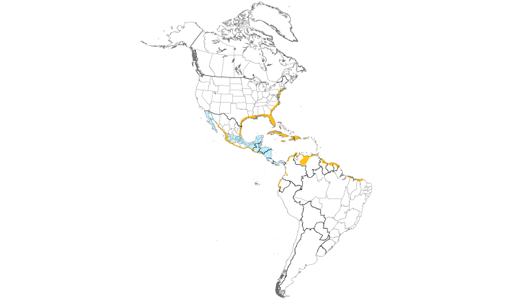 Range Map (Americas): Tricolored Heron