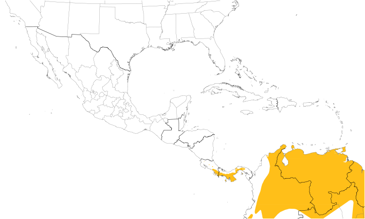 Range Map (Central): Lesser Elaenia