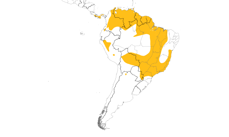 Range Map (South): Lesser Elaenia
