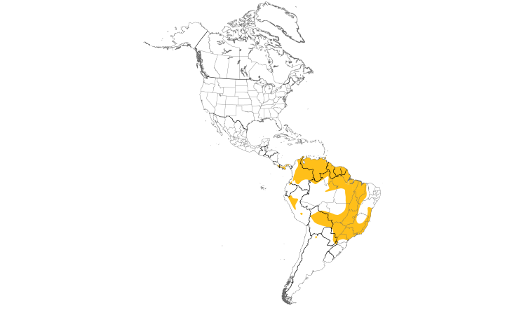 Range Map (Americas): Lesser Elaenia