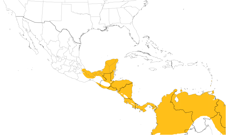 Range Map (Central): Yellow-bellied Elaenia