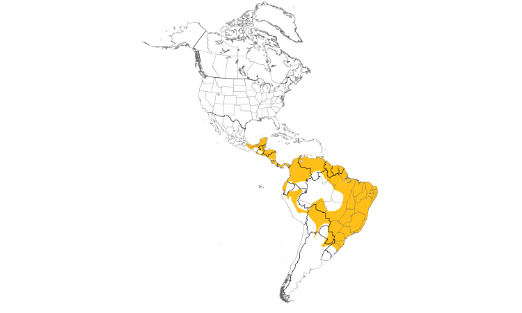 Range Map (Americas): Yellow-bellied Elaenia