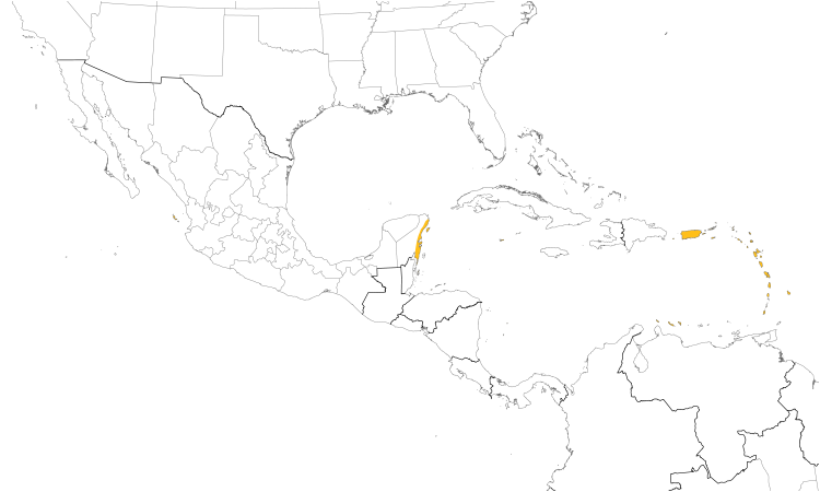 Range Map (Central): Caribbean Elaenia