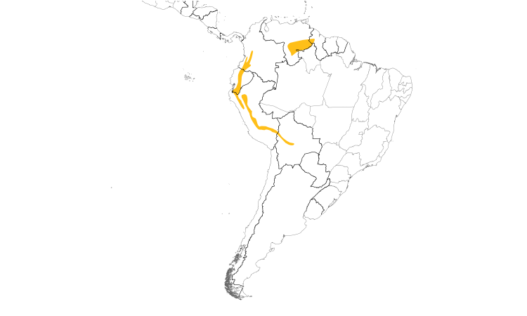 Range Map (South): Sierran Elaenia