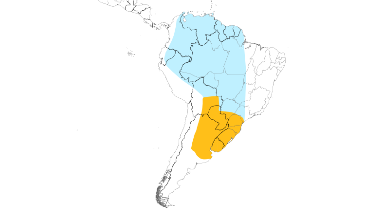 Range Map (South): Small-billed Elaenia