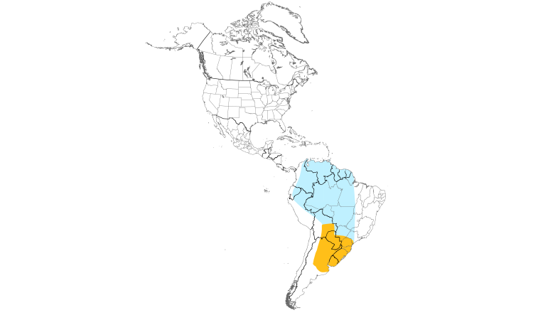 Range Map (Americas): Small-billed Elaenia