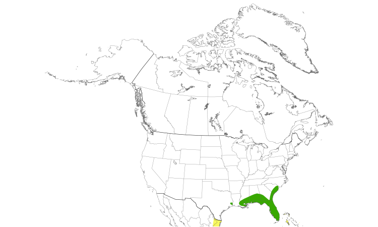 Range Map (North): Swallow-tailed Kite
