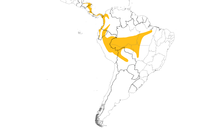 Range Map (South): Broad-billed Motmot