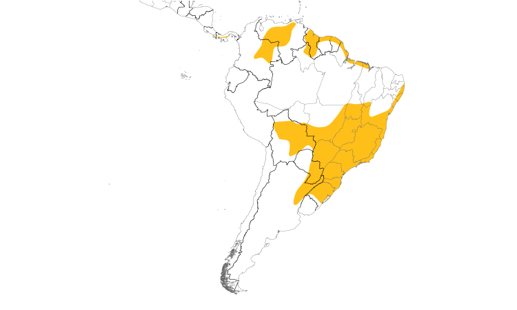 Range Map (South): Wedge-tailed Grass-Finch