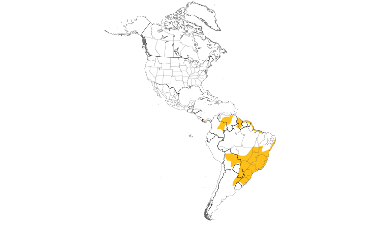Range Map (Americas): Wedge-tailed Grass-Finch