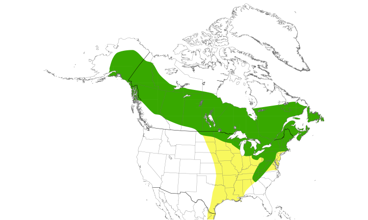 Range Map (North): Alder Flycatcher