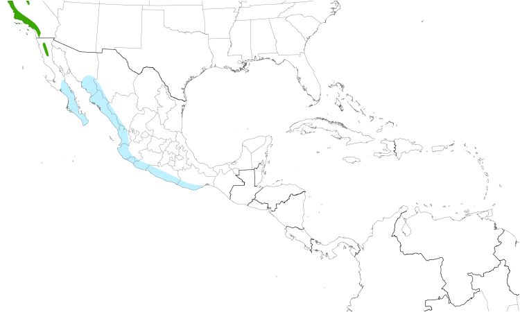 Range Map (Central): Pacific-slope Flycatcher