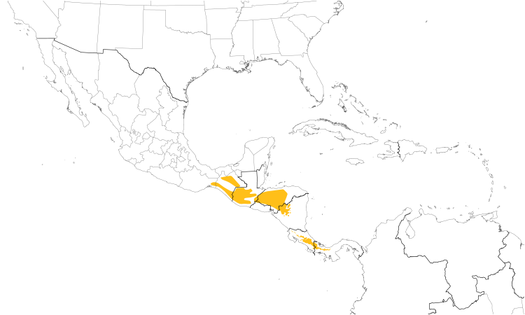 Range Map (Central): Yellowish Flycatcher