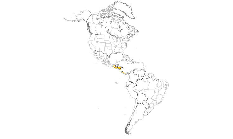 Range Map (Americas): Yellowish Flycatcher