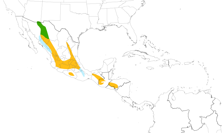 Range Map (Central): Buff-breasted Flycatcher