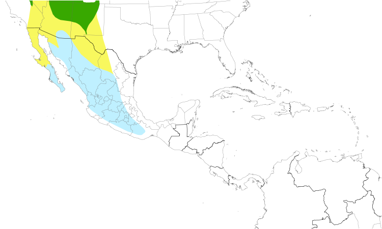 Range Map (Central): Gray Flycatcher