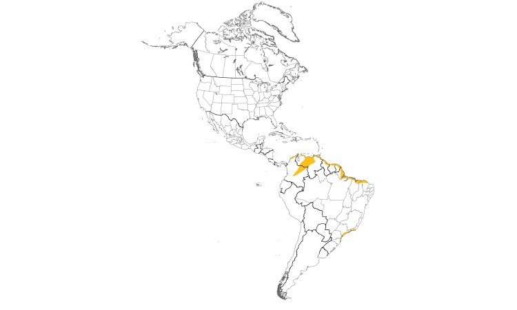 Range Map (Americas): Scarlet Ibis