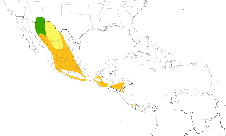 Range Map (Central): Magnificent Hummingbird