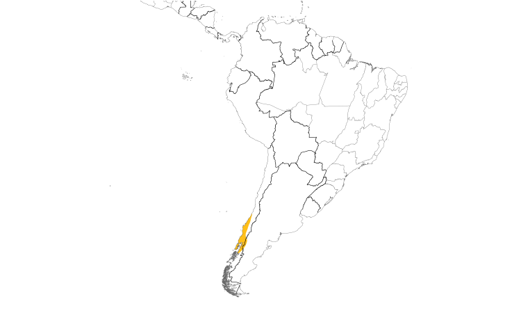 Range Map (South): Ochre-flanked Tapaculo