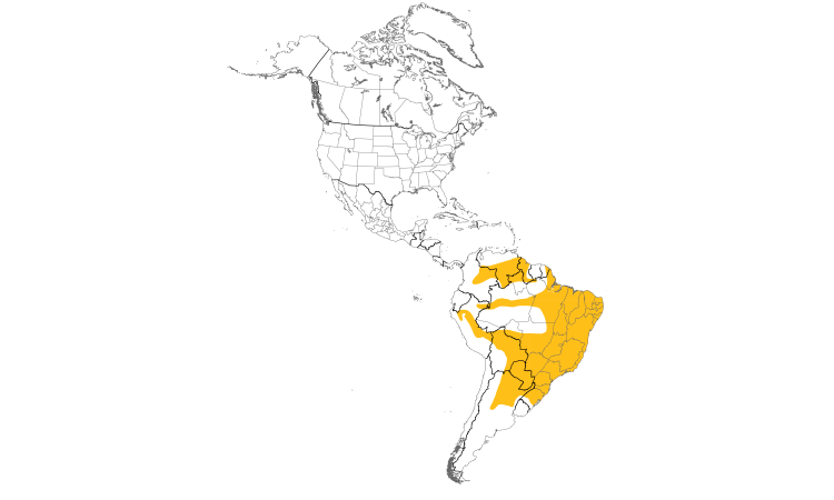 Range Map (Americas): Purple-throated Euphonia