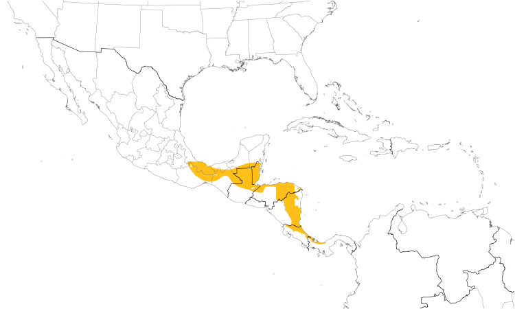 Range Map (Central): Olive-backed Euphonia