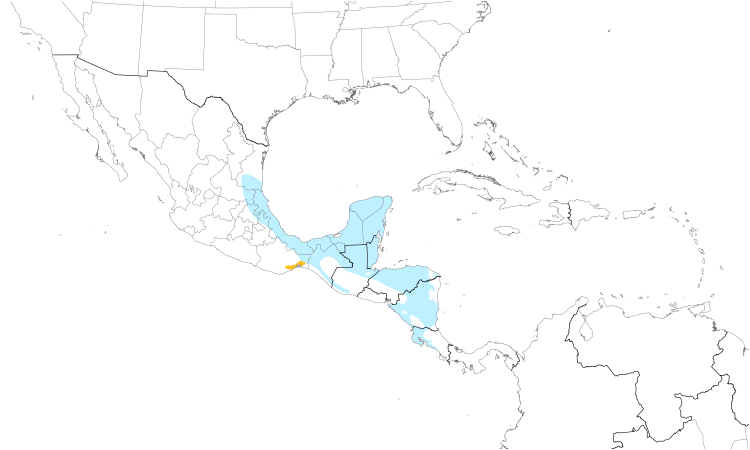 Range Map (Central): Yellow-throated Euphonia