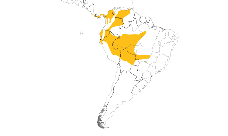 Range Map (South): Thick-billed Euphonia