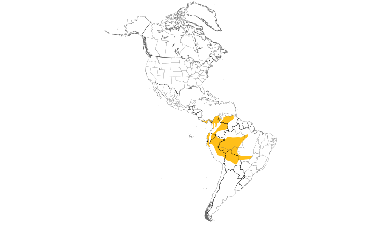 Range Map (Americas): Thick-billed Euphonia